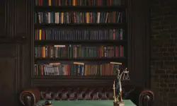 Featured image of post Killing the Donkey After Grinding the Mill: Fired Before Retirement