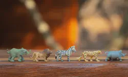 Featured image of post Reflections on Legal Advocacy