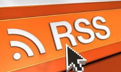 Featured image of post The Boundless Fall of Leaves