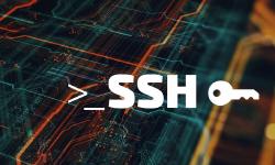 Featured image of post A Simple Method for Migrating WordPress and Databases Using SSH