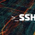 A Simple Method for Migrating WordPress and Databases Using SSH