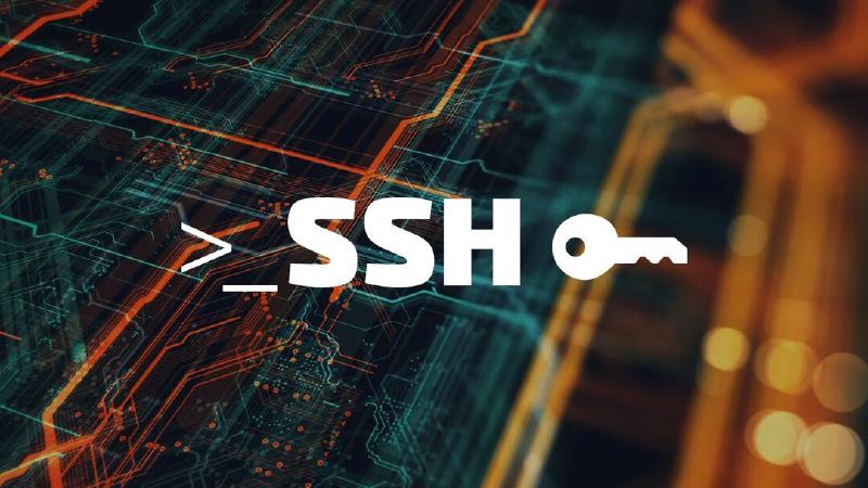 Featured image of post A Simple Method for Migrating WordPress and Databases Using SSH