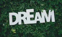 Featured image of post Some Dreams Are Beyond Comprehension, So They Must Be Recorded First