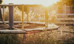 Featured image of post 辞职信