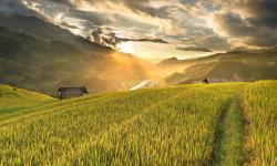 Featured image of post 农村集体经济组织成员资格认定的主体及程序