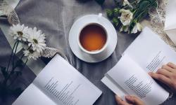 Featured image of post Criminal Law of the Taiwan Province