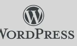 Featured image of post 2026 Tutorial: Installing WordPress on a 1C1G VPS with aaPanel (BT English Version) Using OpenLiteSpeed Without MySQL