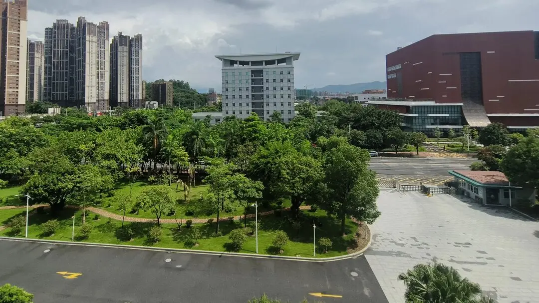 11年后，再次回到法院工作（临时）