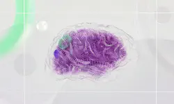 Featured image of post What AI Truly Lacks Now Is Not Computing Power, But 'Memory'