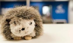 Featured image of post Imagining Names for Future Children