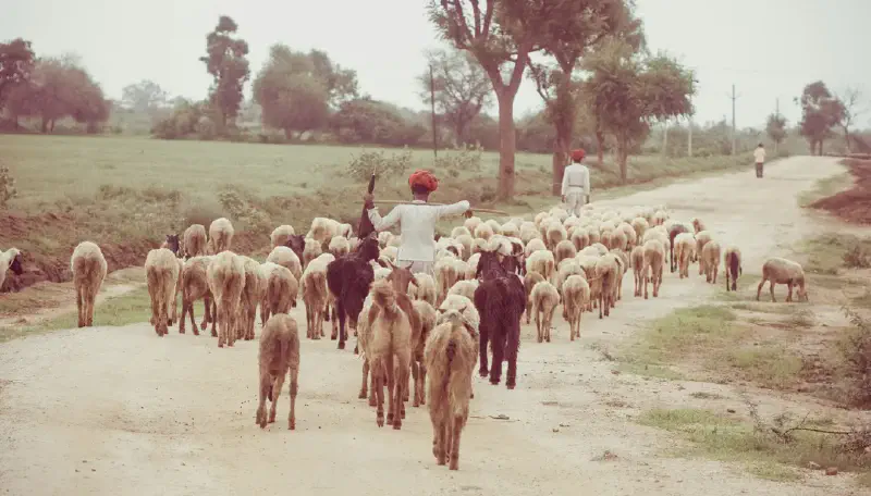 Featured image of post 经济学理论再次反转：现在越穷的地区经济增速又变成越低了