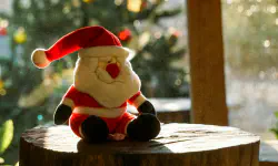 Featured image of post The Dismembered Santa Claus in the United States