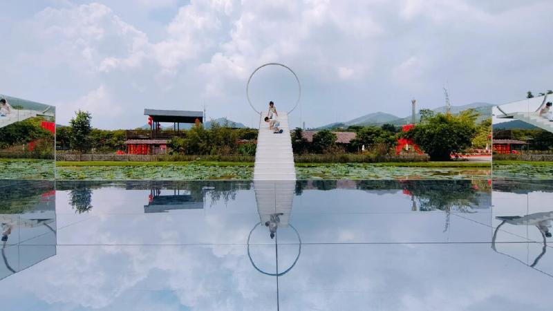 Featured image of post Hehe and Dodo like this SkyMirror