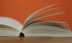 Featured image of post 给博客更换主题 Hugo Bear