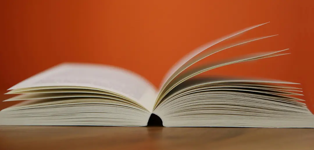 Switching Blog Themes to Hugo Bear