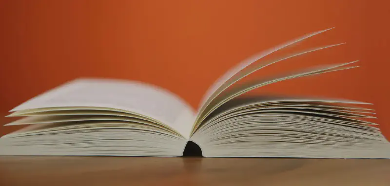 Featured image of post Switching Blog Themes to Hugo Bear