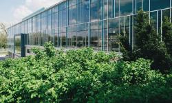 Featured image of post Listening to the teachings of a university professor again after 16 years