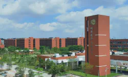 Featured image of post 当我在大学现场听罗翔老师讲课时，我在听什么