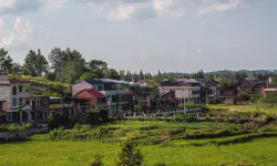 Featured image of post Elderly Migrant Workers Returning Home: The Difficulty of Retracing the Path of an Agrarian Society
