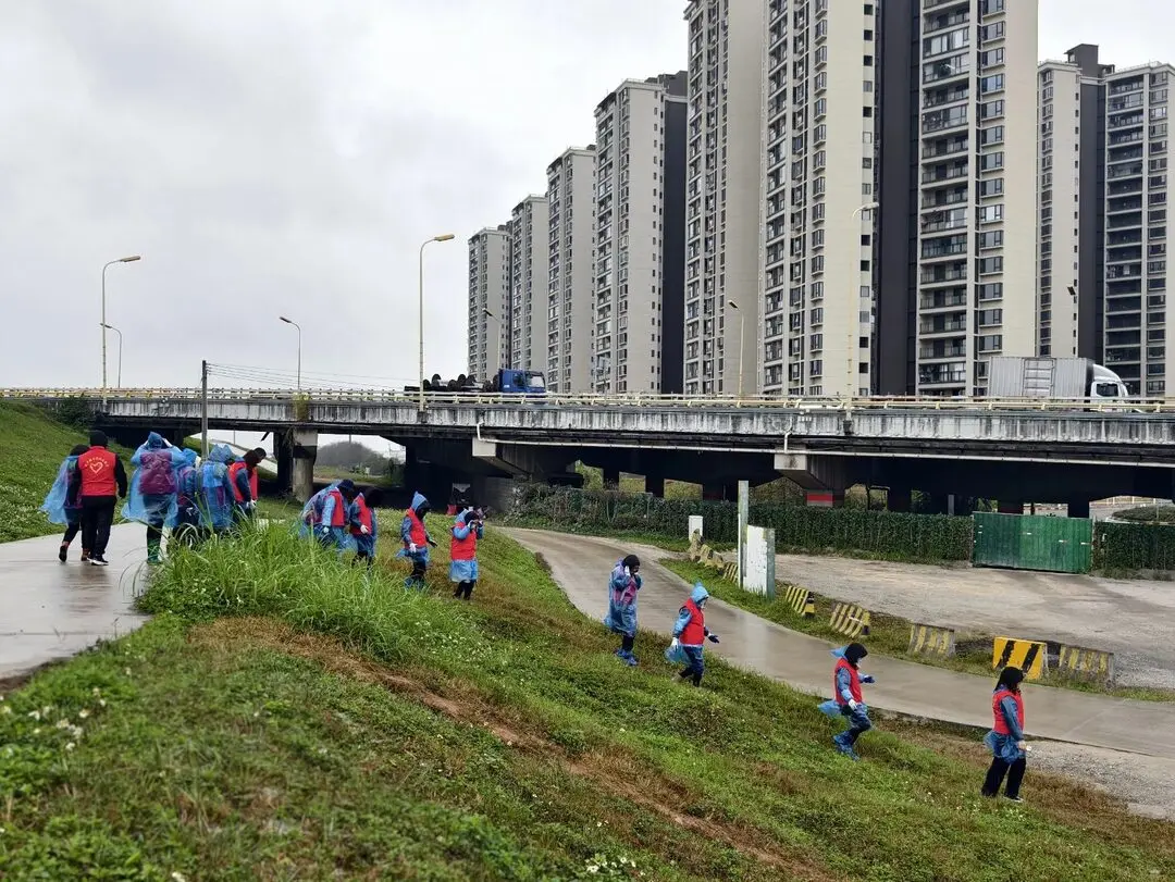 参加农村志愿服务活动