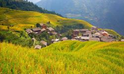 Featured image of post Research on the construction of rural rule of law to help rural revitalization