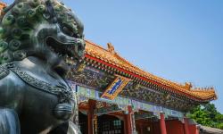 Featured image of post How to Separate Trial and Execution