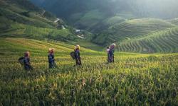 Featured image of post Why Are Landslides in Hunan Province So Severe?